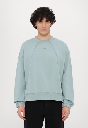Lichtblauwe katoenen sweatshirt met een ronde hals, geribbelde manchetten en zoom. Heeft subtiele logodetails op de borst. Casual fit.
