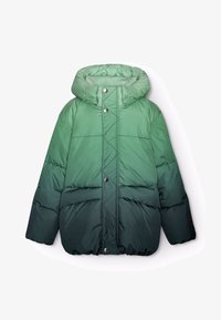 Neizvēlēts, green shades