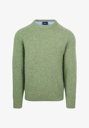 Grüner Strickpullover mit Rundhalsausschnitt, gerippten Bündchen und Saum, aus weichem Stoff, mit einer subtilen Textur und einem klaren Design.