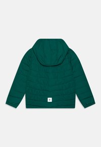 Reima UUMAJA UNISEX - Giacca invernale - deeper green