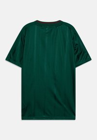 Jersey verde de manga corta con rayas verticales, cuello redondo y acabado texturizado. Presenta detalles en rojo oscuro a lo largo del escote.