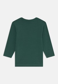 Chemise en coton verte à manches longues avec un col rond, dotée d'une couleur unie et d'un ourlet standard, présentée de dos.