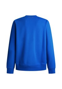 Blauwe sweatshirt met lange mouwen, geribde manchetten en zoom. Gelaagd stof met een gladde afwerking, met een logo op de achterkant nabij de halslijn.