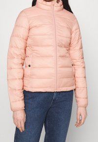 Giacca a vento rosa chiaro con colletto alto, cuciture orizzontali, zip frontale e due tasche laterali. Tessuto liscio con una finitura leggermente lucida.