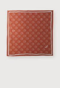 SUNIAL SICO SCARF - Foulard - arabian spice