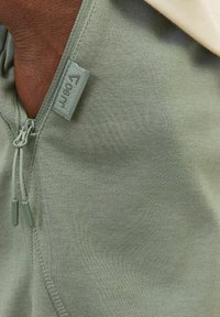 Jack & Jones REGULAR FIT  - Kratke hlače - agave green