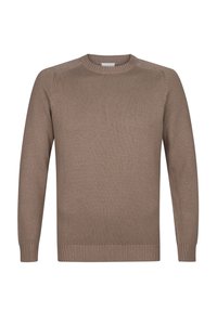Brauner Strickpullover mit Rundhalsausschnitt, gerippten Bündchen und Saum. Glatte Textur mit Schulternähten und einem legeren Schnitt.