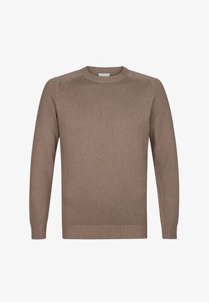 Bruine gebreide trui met een ronde hals, geribde boorden en zoom. Glad textuur met schoudernaden en een relaxed fit ontwerp.