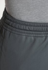 Under Armour Pantalón corto de deporte - light grey