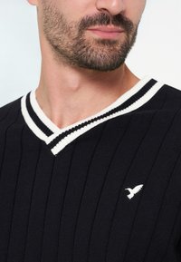Homme barbu portant un pull noir côtelé à col en V avec un col rayé blanc et un petit logo d'oiseau blanc sur la poitrine.