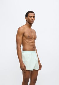 Ανοιχτό μέντα πράσινο μαγιό σορτς με ελαστική μέση, λείο ύφασμα και άνετη εφαρμογή, παρουσιασμένο σε μοντέλο με αθλητική σωματότυπο.