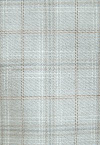 Light blue plaid fabric with fine grey and brown lines. Textured weave with a subtle pattern, suitable for various textile applications.
