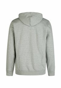 Grijze hoodie, gemaakt van zachte stof, met een ontspannen pasvorm, ribbels aan de mouwen en onderrand, met een gladde textuur en zonder zichtbare patronen.