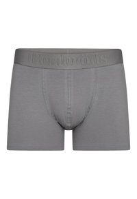 Grijze boxershort van zacht materiaal. Uitrusting met een elastische tailleband met reliëf merknaam en een gladde textuur.