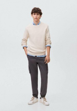 Helles beige Sweatshirt mit gerippten Bündchen, über ein hellblaues Hemd mit Kragen getragen. Graue Cargo-Hosen mit elastischen Bündchen und seitlichen Taschen. Weiße Sneaker.