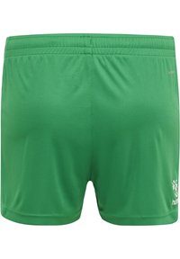 Pantalones cortos deportivos verdes hechos de una tela suave y ligera con un diseño simple y cintura elástica. Presentan un pequeño logo en la parte inferior derecha.