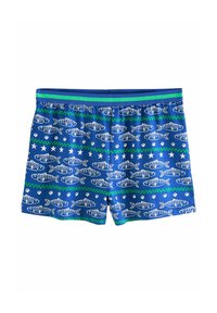 Blue swim trunks with a horizontal fish pattern, featuring green wave accents and a green-striped elastic waistband. Cotton material.