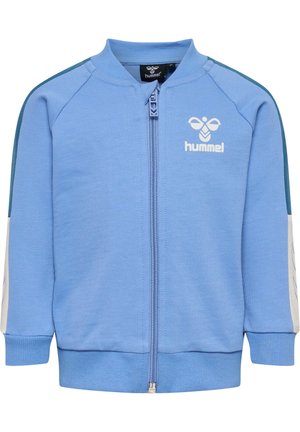 Zip-up sweatshirt - silver lake blue