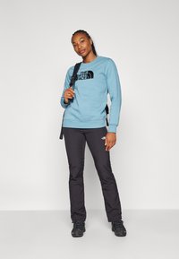 The North Face DREW PEAK CREW - Felpa - algae blue