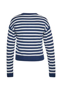Maglione a righe navy e bianche, scollo a girocollo, maniche lunghe, polsini e fondo a costine, texture morbida, vestibilità casual.