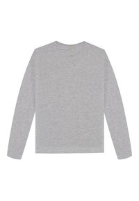 Maglietta a maniche lunghe grigia chiara con scollo a girocollo. Texture morbida e liscia con vestibilità standard e senza motivi o decorazioni.