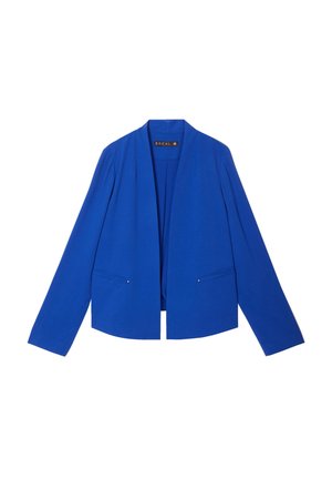 Blauwe jas met een sjawl-kraag, lange mouwen en twee voorzakken. Het materiaal lijkt glad met een lichte glans en heeft minimale hardware-accenten.