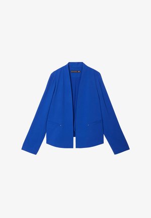 Blauwe jas met een sjawl-kraag, lange mouwen en twee voorzakken. Het materiaal lijkt glad met een lichte glans en heeft minimale hardware-accenten.