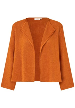 Blazer - majulitta