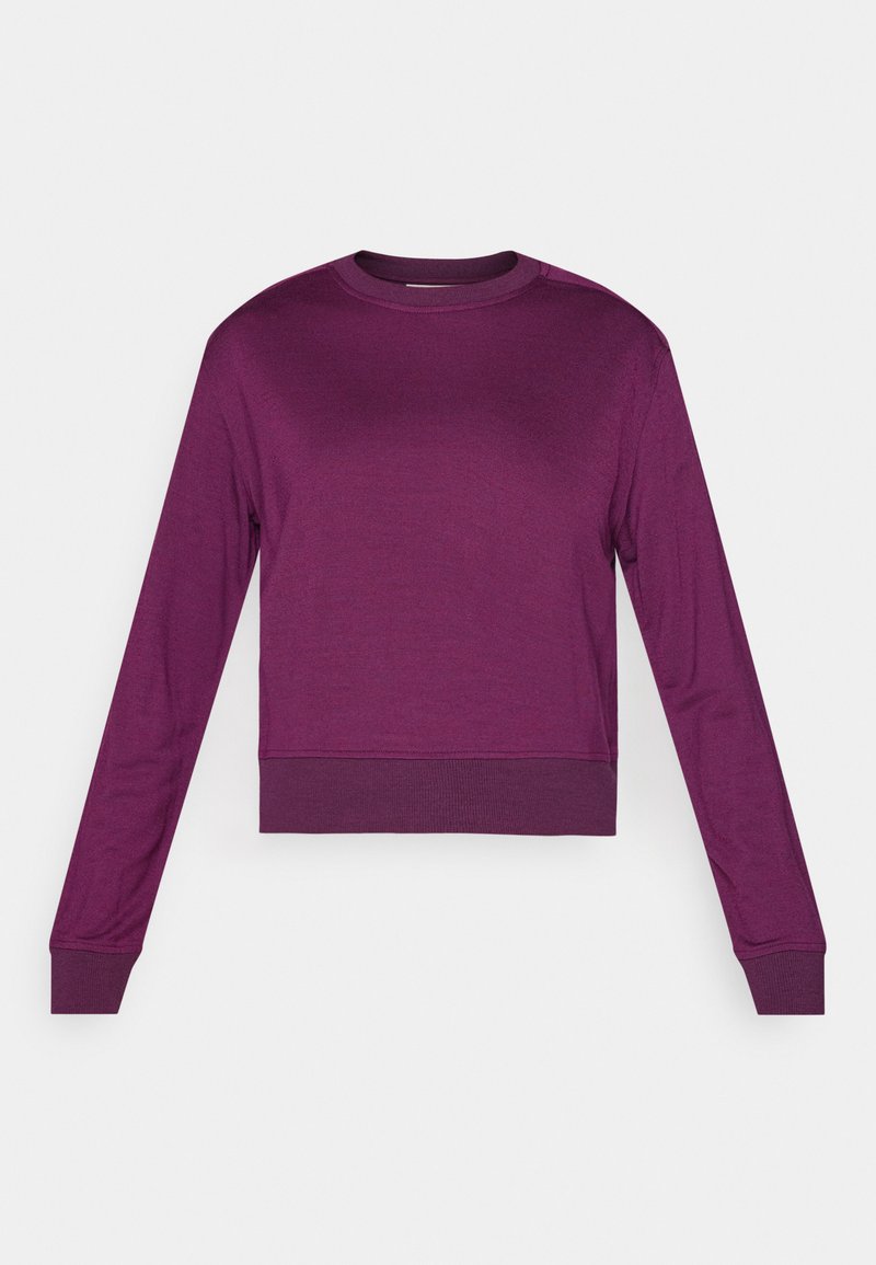 Icebreaker Sweater donkerblauw