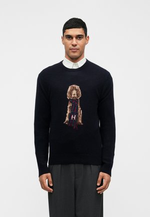 HARRY CREW - Strickpullover - midnight blue