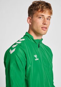 Grüne Zip-Jacke aus glattem Stoff mit hohem Kragen, verziert mit weißen Chevron-Akzenten auf den Schultern und einem Logo auf der Brust.