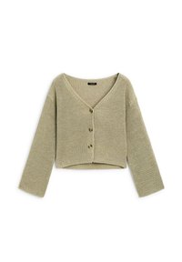 Massimo Dutti Strickjacke - light green