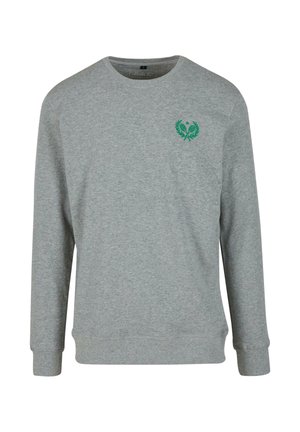 Grå bomullströja med långa ärmar, rund halsringning och en grön emblem på bröstet. Mjuk textur och normal passform.