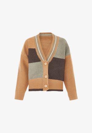 Cardigan patchwork marrone e beige con scollatura a V, polsini a coste e quattro grandi bottoni. Presenta strisce verticali in teal e beige.