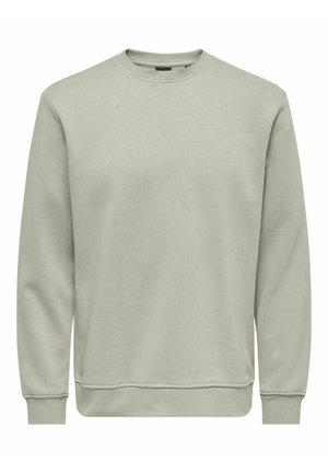 Ljusgrön sweatshirt i mjukt bomullsmaterial med rund halsringning, ribbade ärmslut och nederkant. Enkel, odekorerad design.