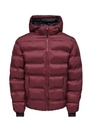 ONSUNION SEAMLES LIFE HOOD PUFFER - Chaqueta de invierno - burdeos