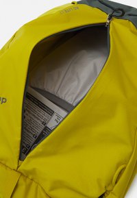 Deuter AC LITE 17 UNISEX - Sac à dos - greencurry/teal