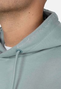 Felpa azzurra chiara con una texture liscia, dotata di cappuccio regolabile con cordoncino e discreto testo ricamato lungo il colletto. Materiale misto cotone.
