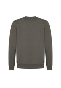 Grijze sweatshirt met een ronde halslijn, ribgebreide manchetten en boord. Gladde textuur met een minimalistisch ontwerp en geen zichtbare graphics of versieringen.