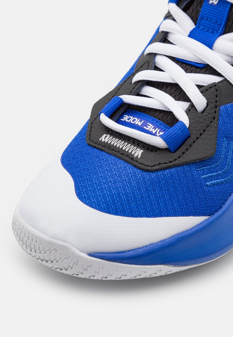 nike zoom basketball