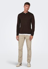 Only & Sons WYLER LIFE REG 14 LS NOOS - Polo shirt - braun