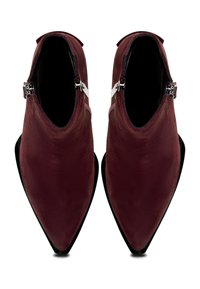 Stivaletti in suede borgogna con punte appuntite, dotati di accessori in argento lucido e suola nera elegante, con chiusura a zip laterale per una calzata facile.