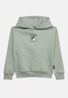 DISLOGO SPRING HERITAGE UNISEX - Φούτερ με κουκούλα - green