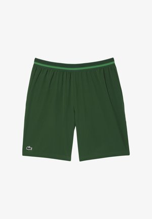 Pantalones cortos deportivos verdes con cinturilla elástica que cuentan con un forro de malla verde, bolsillos laterales y un pequeño logo blanco en la parte inferior izquierda.