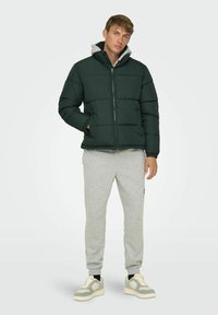Green puffer jacket with a gray hood, zip closure, and stitched panels, paired with light gray sweatpants and sneakers.