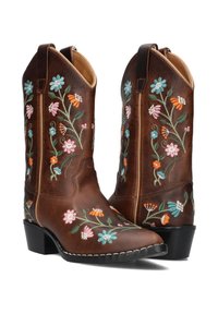 Brown leather cowboy boots featuring multi-colored floral embroidery on the sides, pointed toe, and low black heel.
