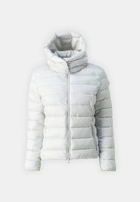 VIOLA - Giacca invernale - fog grey