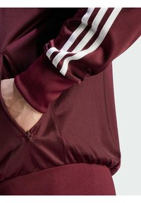 adidas Originals FBIRD - Lukuga pusa - maroon