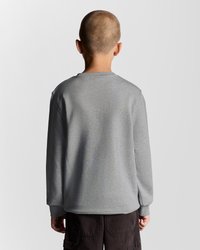 Sweatshirt gris �à manches longues avec un col rond et des poignets côtelés, fabriqué en tissu doux. Porté par un enfant aux cheveux courts, vu de dos.