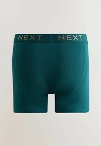 Žalsvi bokseriai su prigludusia dizaino linija. Plataus diržo juosta su auksinėmis raidėmis "NEXT". Lygus paviršius, minimalistinis dizainas.